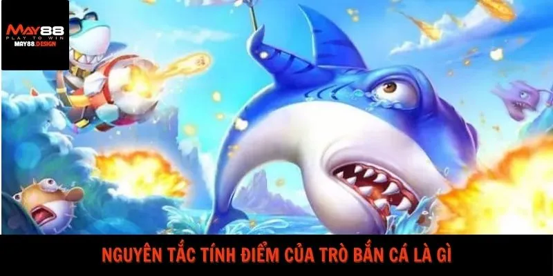 nguyen-tac-tinh-diem-cua-tro-ban-ca-la-gi